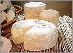 Une grande tomme d'Ardèche pur chèvre