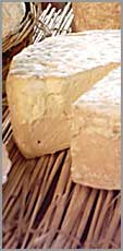 Une grande tomme d'Ard&egrave;che pur ch&egrave;vre